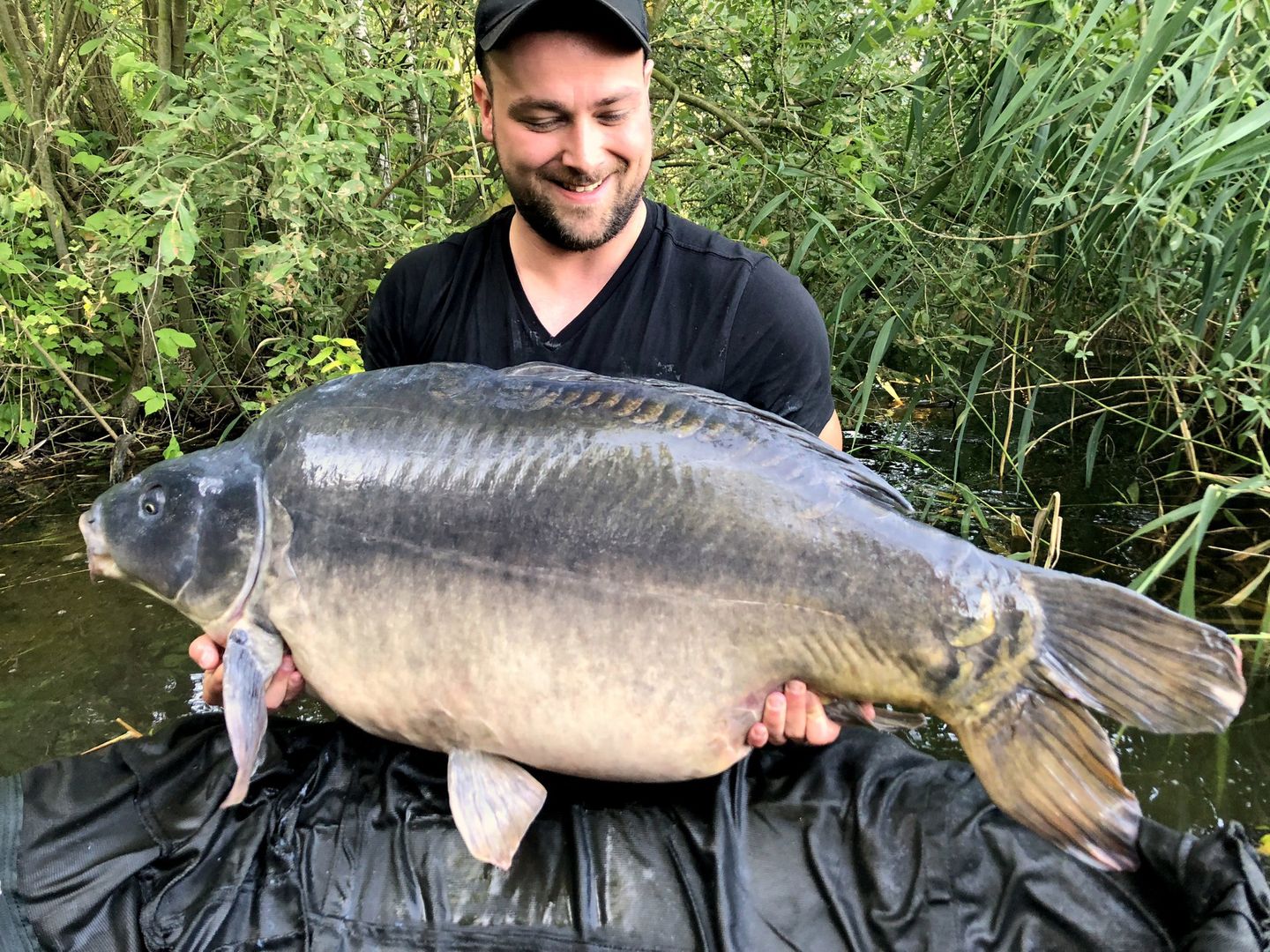 Karp gigant złowiony w Gosławicach. Ważył 34,4 kilograma