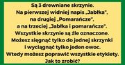 Gotowy na gimnastykę umysłową? Oto 7 zagadek, które zmuszą Twoje szare komórki do aktywności!