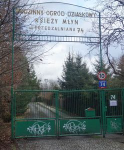 Działkowcy mają prawo przebywać w ogródkach działkowych - przypomina reprezentująca ich organizacja