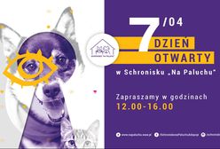 Bezdomne zwierzęta też mają swoje święto. Schronisko "Na Paluchu" uczci je dniem otwartym