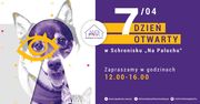 Bezdomne zwierzęta też mają swoje święto. Schronisko "Na Paluchu" uczci je dniem otwartym