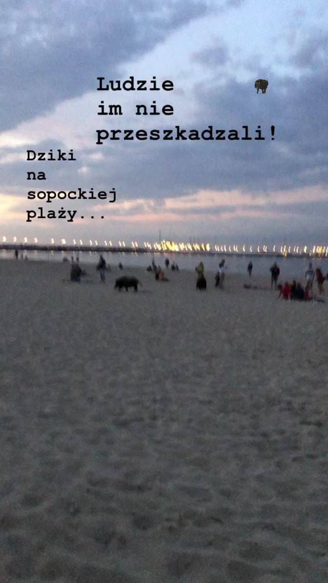 Obrazek