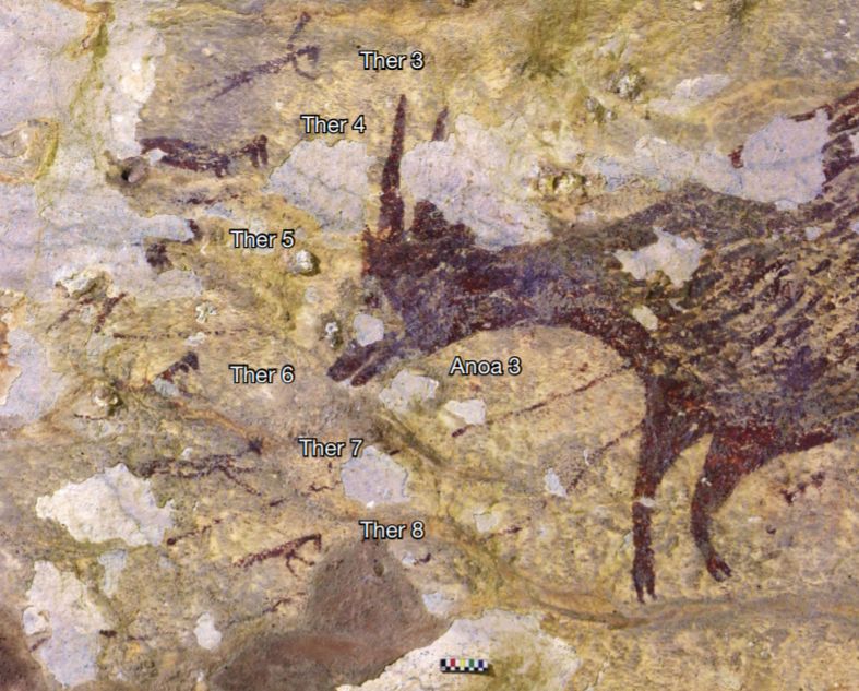 Odkryto najstarsze malowidła w historii człowieka. Mają prawie 44 tysiące lat