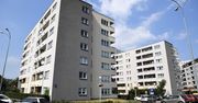 Polska mentalność szlachecko-niewolnicza. Chcesz być wolny? Musisz dać się zniewolić