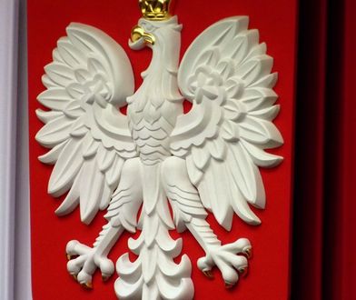 Godło Polski do poprawki. Czy możemy się spodziewać zmian w symbolach narodowych?