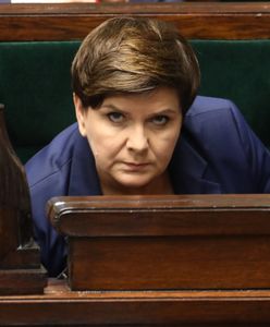 Kto stoi za twitterową akcją #MuremZaSzydło? Ekspert: To robota "wyznawców"