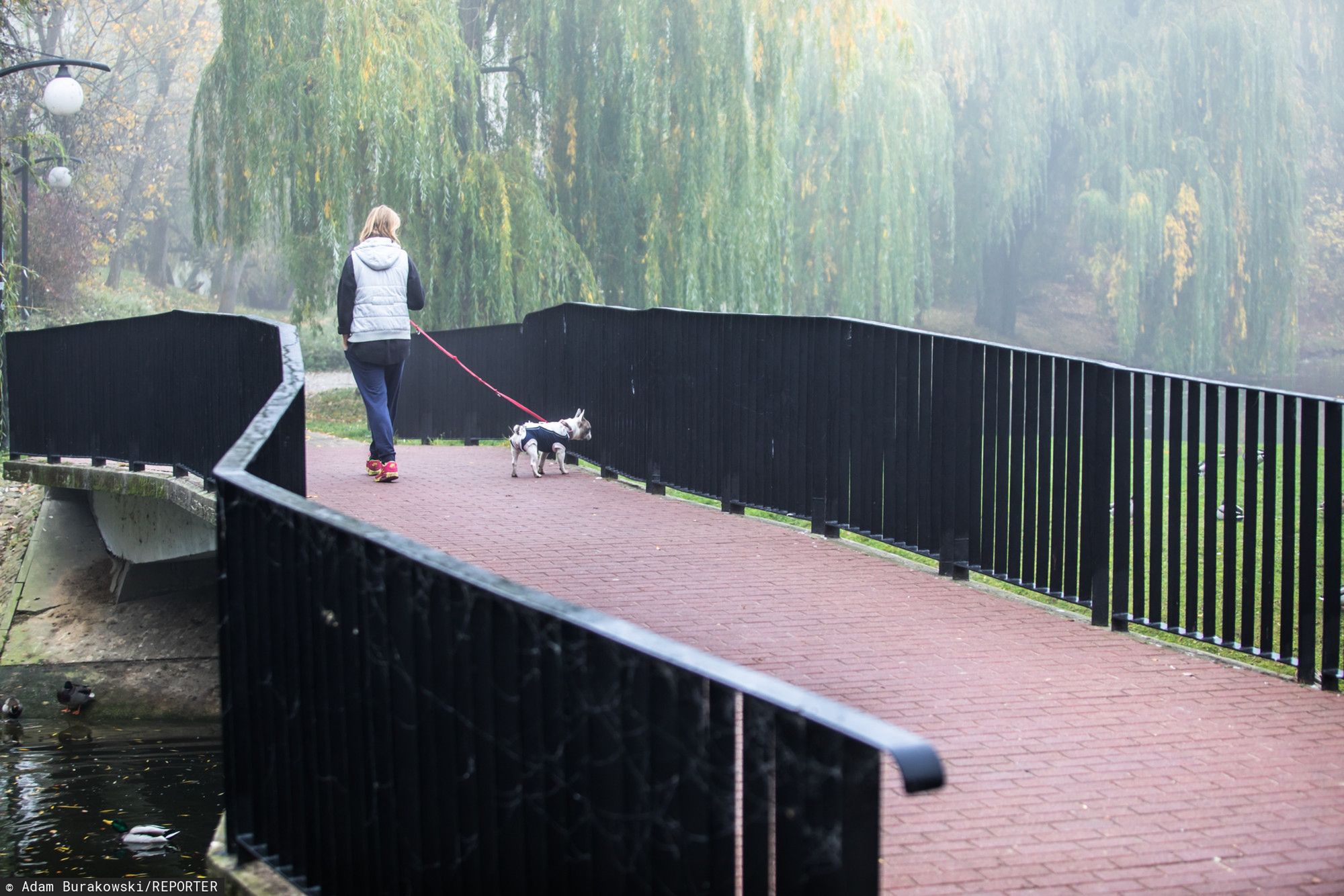 Warszawa. Park Moczydło.