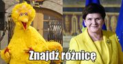 Beata Szydło na żółto. Internauci mają używanie