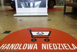 Niedziela handlowa 2019. Zakaz handlu w 2019 roku. Czy 10 marca będziemy mogli zrobić zakupy?