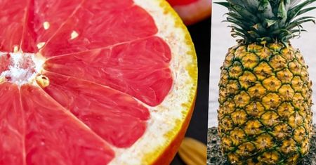 Ananas comosus to... Dopasujesz naukowe nazwy?