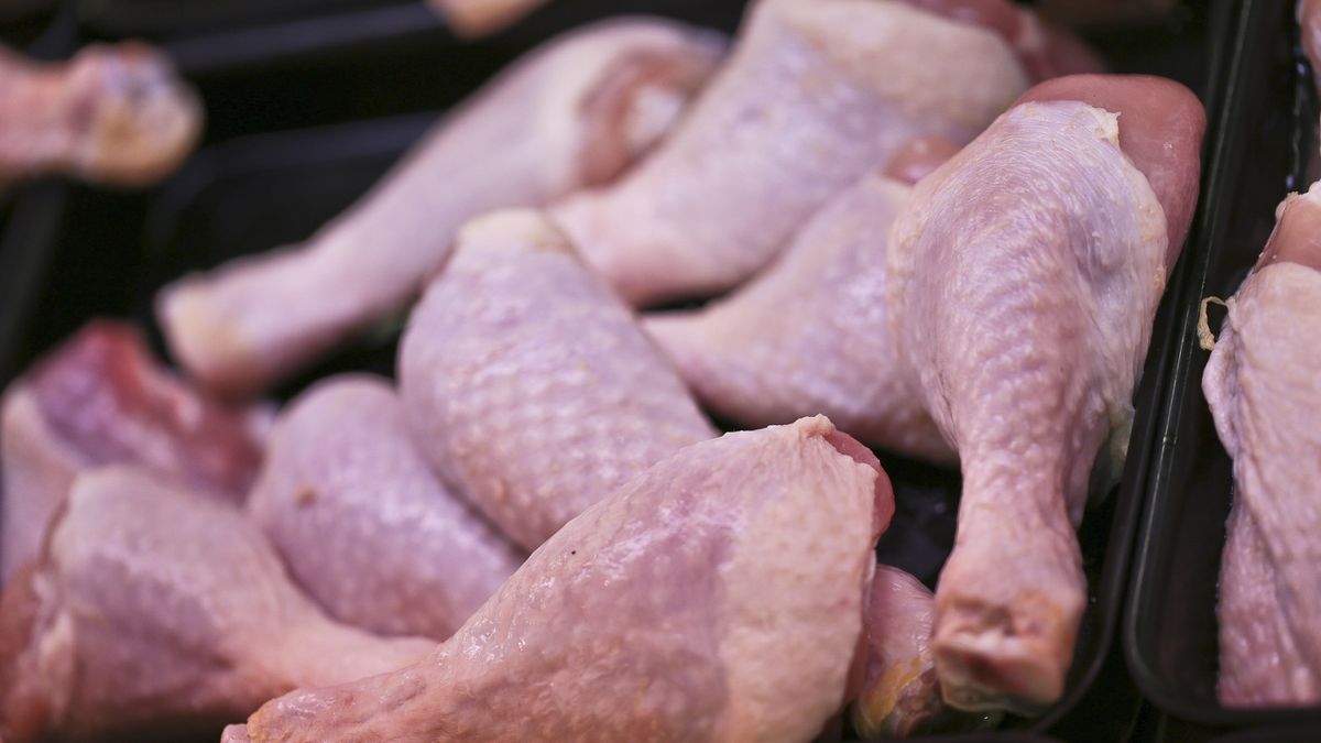 Bułgarzy wykryli salmonellę w drobiu z Polski