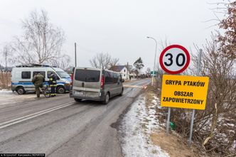 Kolejne ognisko ptasiej grypy. Do tej pory padło ok. 40 tys. ptaków