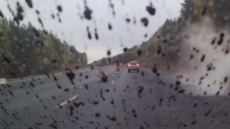 Zdaniem autora nagrania, pochodzi ono z Jekaterynburga do Czelabińska