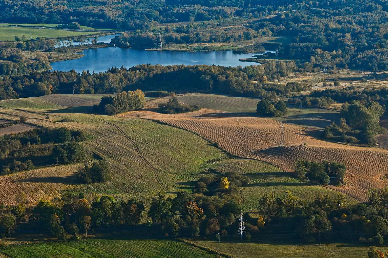 Obraz