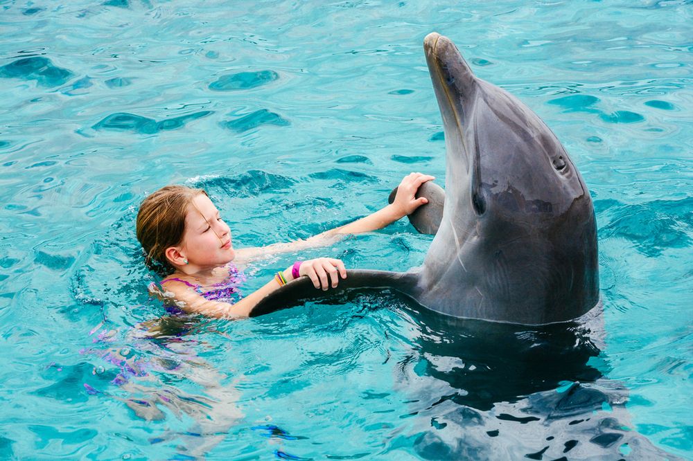 Nie będzie zabaw z delfinami. TripAdvisor chce chronić morskie ssaki