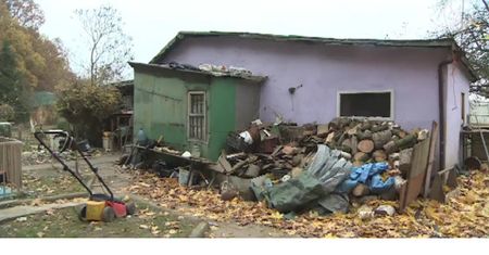Mieszkają w altance, bo nie mają innego wyjścia
