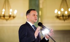 Prezydent apeluje ws. dzików. Będą zalecenia