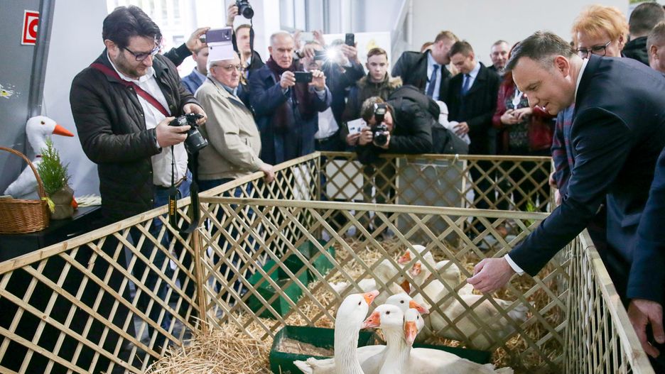 Andrzej Duda zwiedza stanowiska Narodowej Wystawy Rolniczej