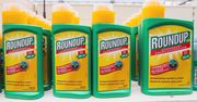 Sąd w USA: Roundup odpowiedzialny za wywołanie raka. Bayer zapłaci 80 mln dolarów odszkodowania