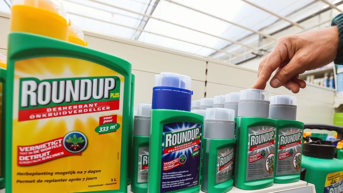 Roundup w niemieckim sklepie