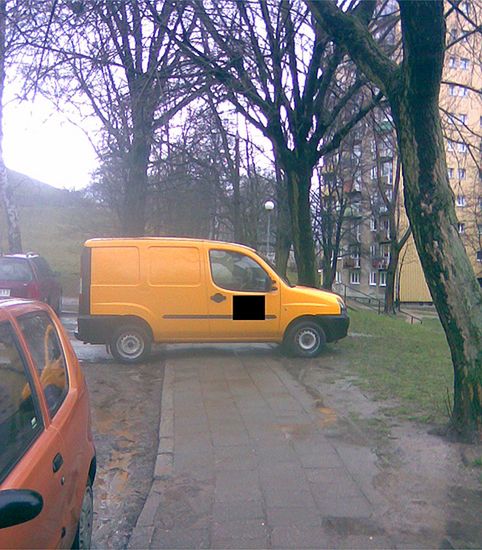 Obraz