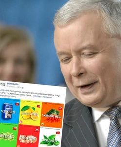 Zadrwili z wpisu Lidla i oburzyli polityków PiS. Mamy komentarz firmy