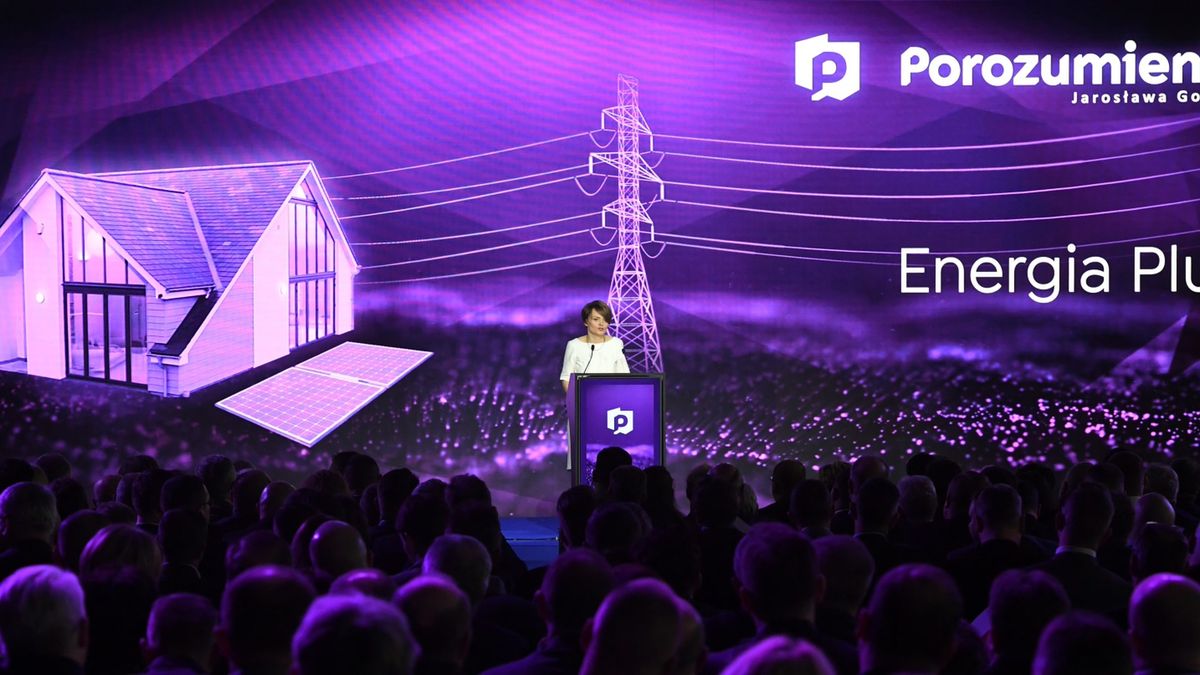 Minister Jadwiga Emilewicz zdradziła szczegóły programu Energia Plus