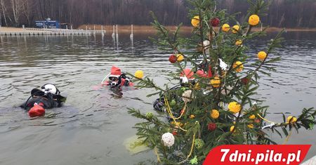 Choinka pod wodą