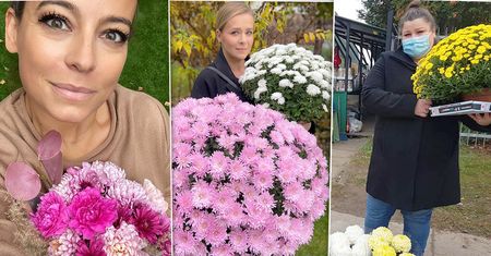 Gwiazdy wspierają akcję "Kup pan chryzantemę": Anna Mucha, Aneta Zając, Dominika Gwit