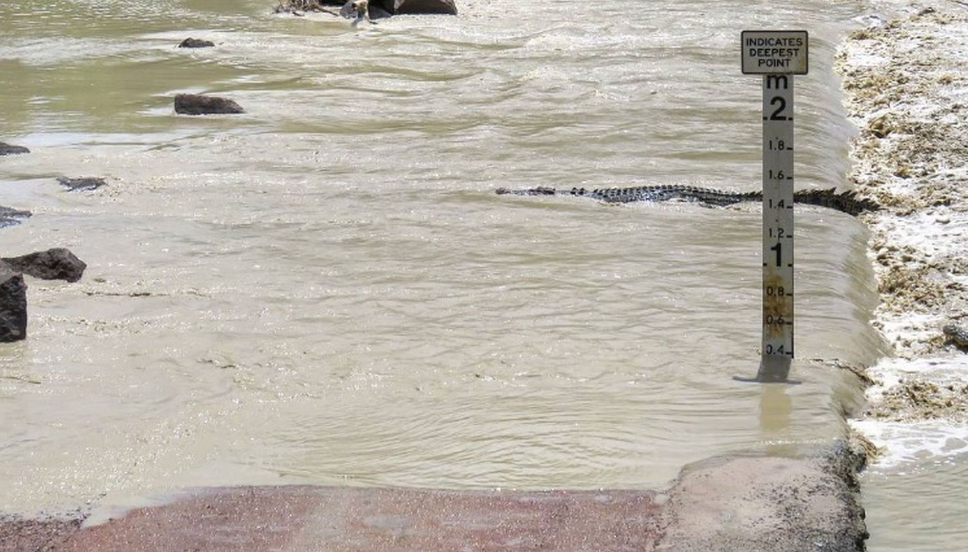 Chciał przejść przez zalaną drogę. Zginął po ataku krokodyla