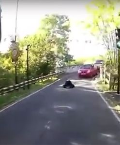 Polak bohaterem w Londynie. Uratował życie kobiety