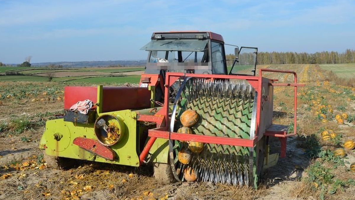 lubelskie wypadek dynie