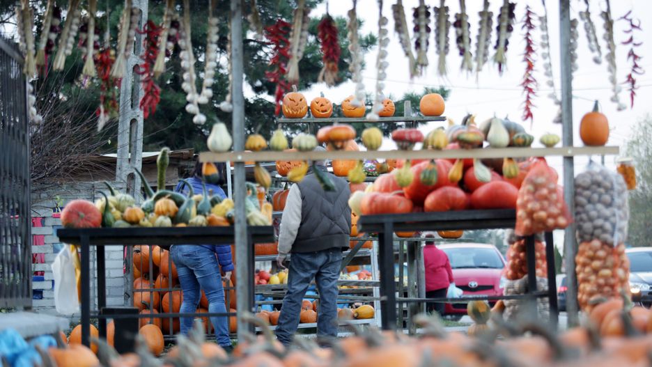 W piątek pogoda będzie nas rozpieszczała 