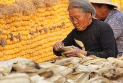 Dubler odsiadywacz, popychacz tłumu i herbaciana dziewica, czyli jak się pracuje w Chinach