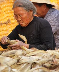 Dubler odsiadywacz, popychacz tłumu i herbaciana dziewica, czyli jak się pracuje w Chinach