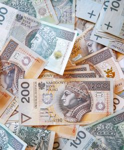 Szczecin: Z kasy rady rodziców skradziono 40 tys. zł. Wystosowano list gończy za jedną z matek