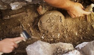 Gorzów Wielkopolski: archeolodzy odkopali kolejny pochówek przy katedrze