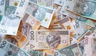 Szczecin: Z kasy rady rodziców skradziono 40 tys. zł. Wystosowano list gończy za jedną z matek