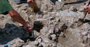 Sukces polskich archeologów. "Anomalia" w starożytnym świecie