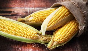 Kukurydza w kolbie