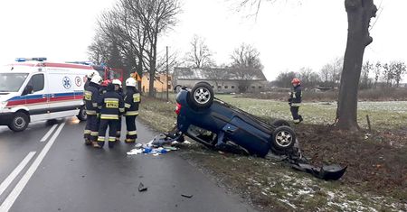 Dachowanie w Studźcach