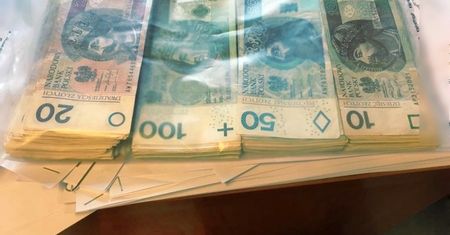 Nietypowy sposób wyłudzania pieniędzy. Na kota od księdza, egzotyczną papugę lub słodkiego pieska