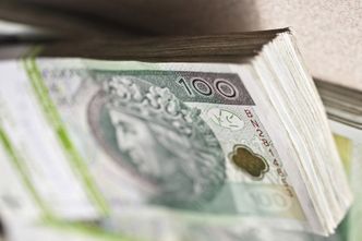 Dług publiczny wolniejszy niż PKB. Najlepsze dane od globalnego kryzysu