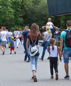 Wrocław zdecydował. Widomo, na co pójdą środki z budżetu obywatelskiego