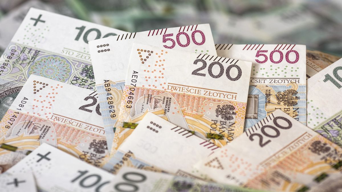 MF o stanie środków walutowych w kasie państwa