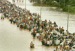 200 ofiar lawin błotnych w Indiach