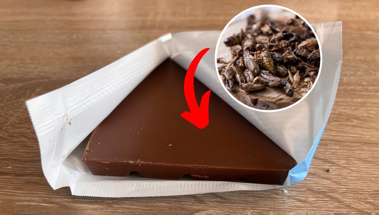 Insekty w czekoladzie to już norma, a nie skandal. Sprawdź oznaczenia na opakowaniu