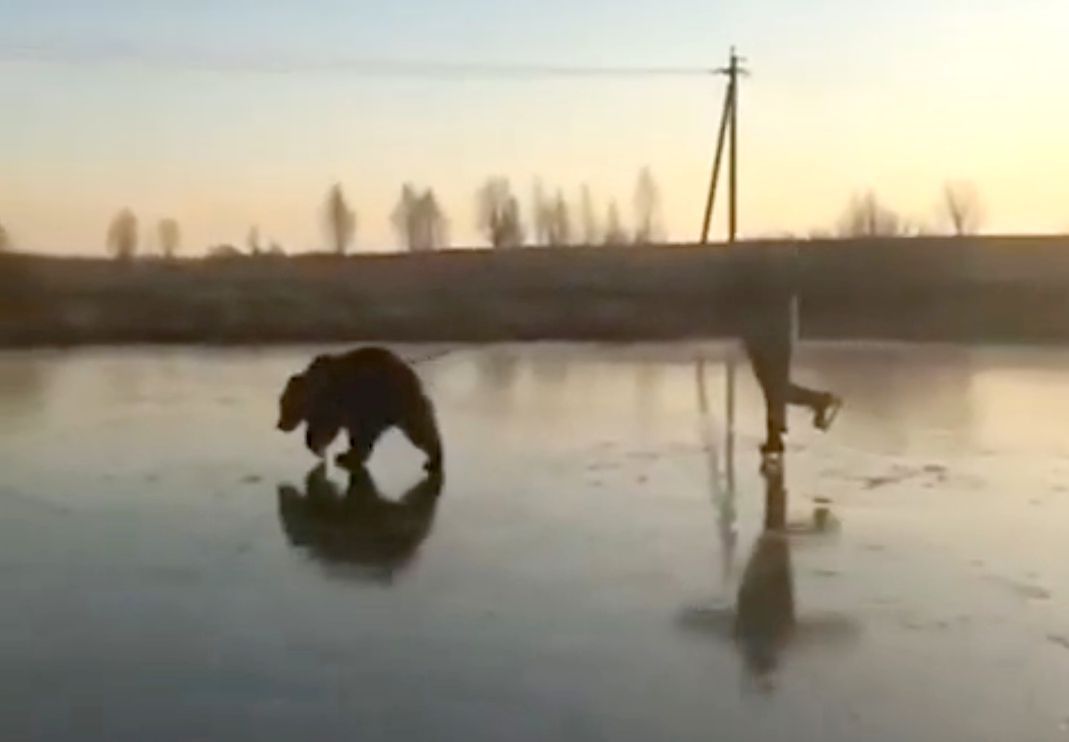 Tymczasem w Rosji. Niedźwiedzi zaprzęg na zamarzniętym jeziorze