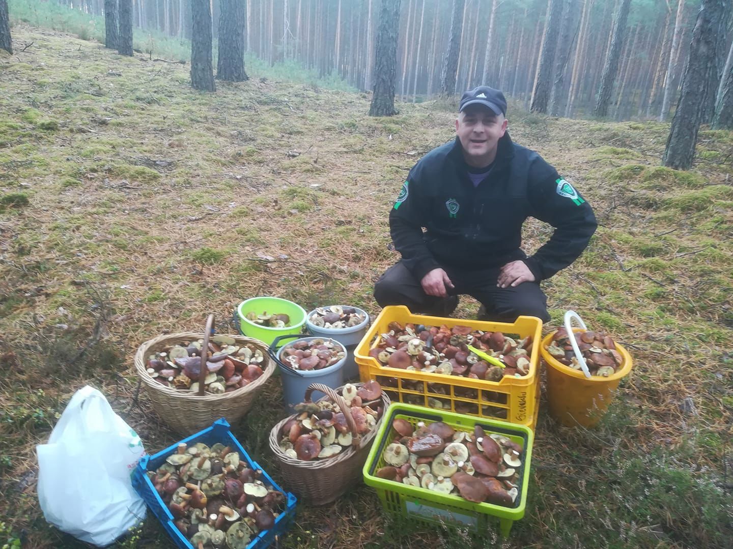 Nowy wysyp grzybów w Polsce. Tyle można zebrać w Puszczy Noteckiej