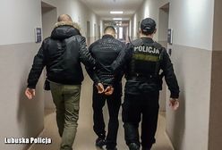 Uciekający złodziej rzucił w policjantów torbą. W środku było 350 tys. zł